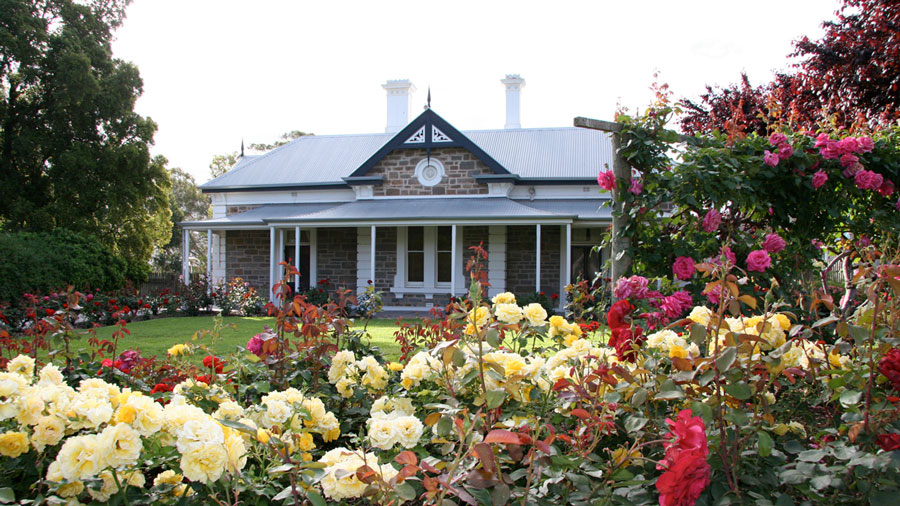 Saltram Underground Tour & Tasting with 3 Course Lunch
