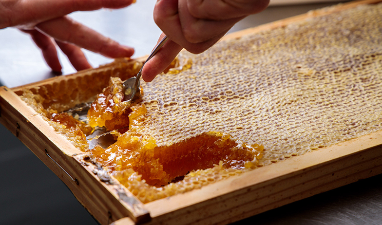 Honey 101