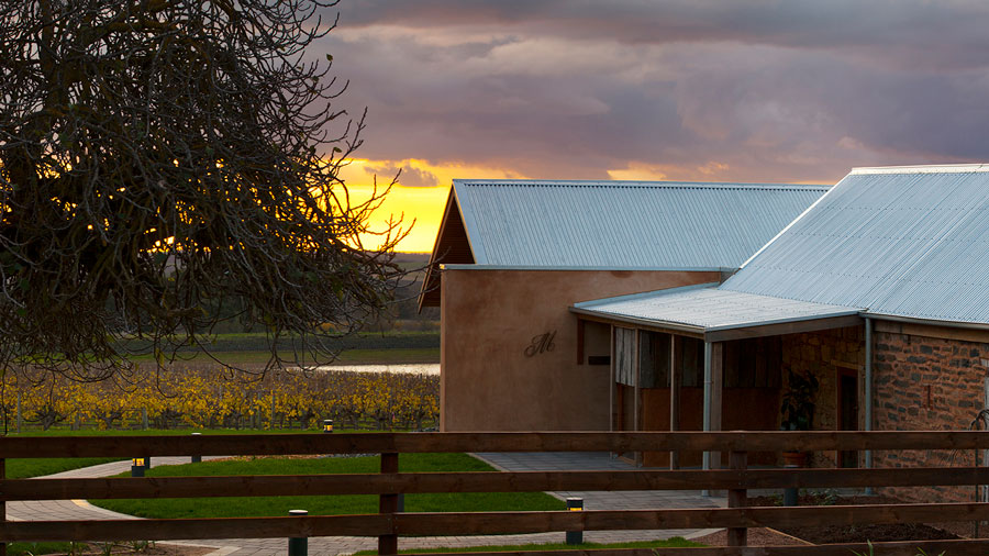 A Night in the Vines Grant Burge Wines The Cellar Kitchens Immersive Indulgence
