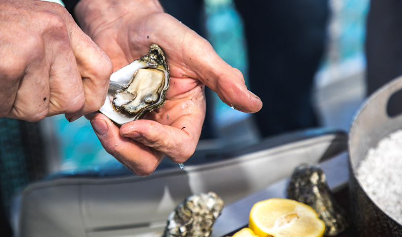 Get Shucked