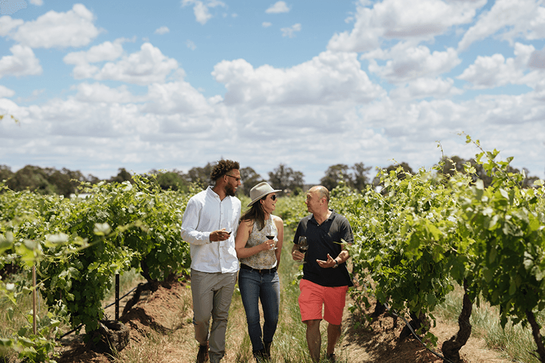 Elderton: A Vineyard to Table Experience