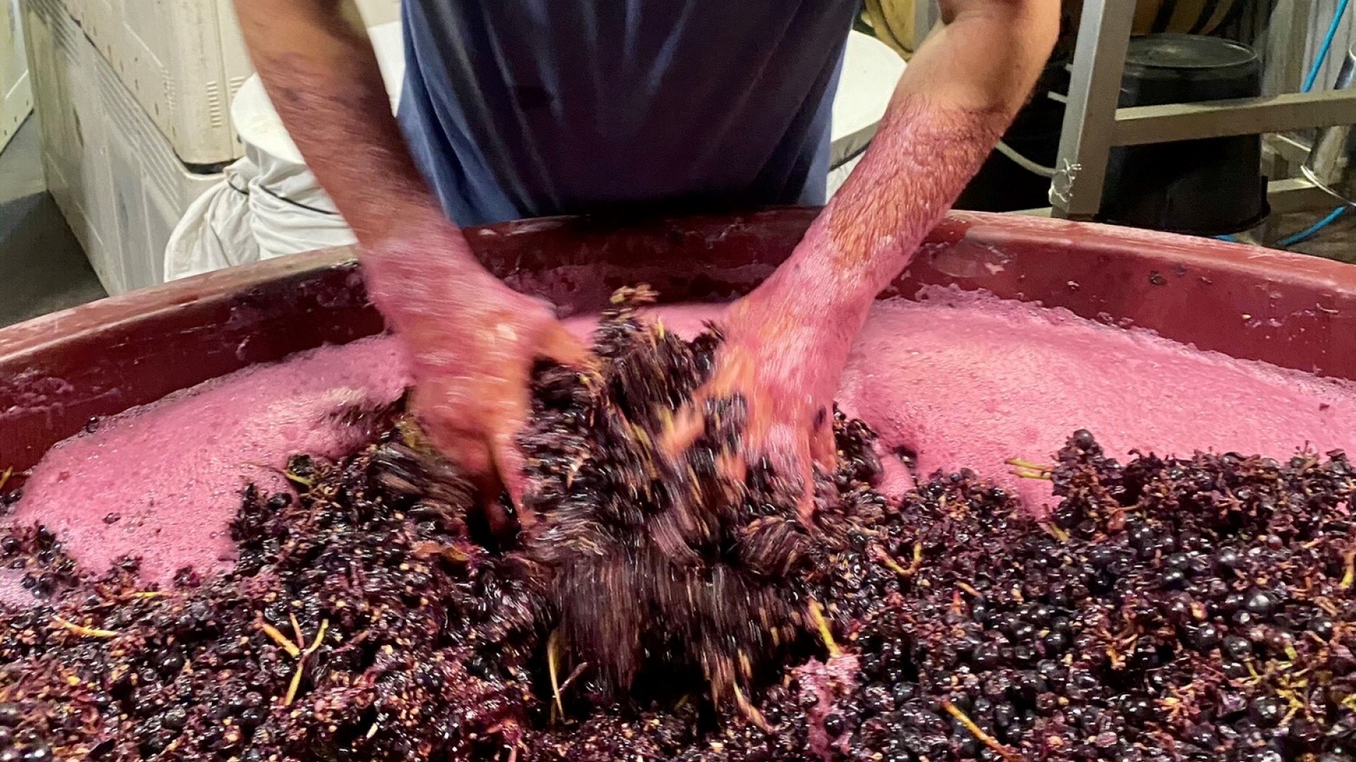 louis-schofield-tasting-australia-presented-by-raa-travel-tas