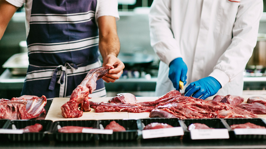 Paroo Kangaroo Food Expert Class