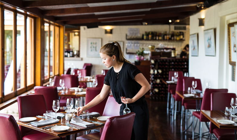 Vintage Tour and Harvest Lunch