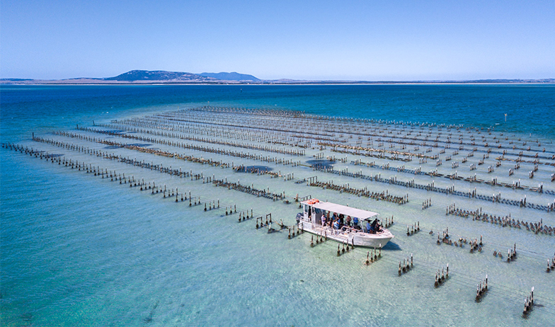 Tasting Australia Airlines Coffin Bay