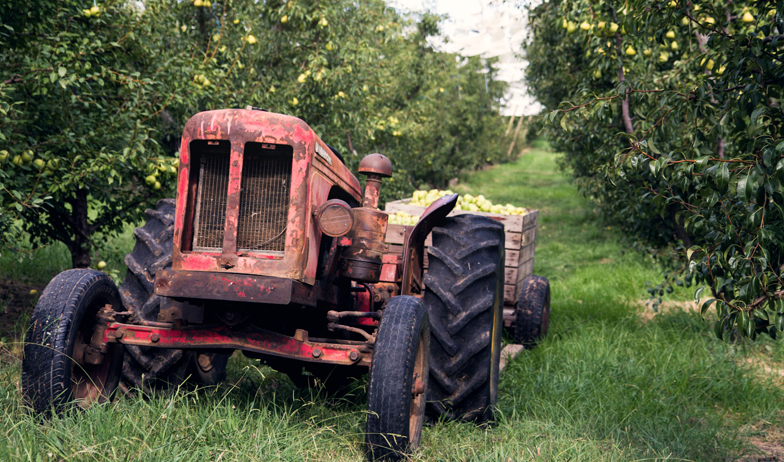 Magarey Orchard Harvest Dinner